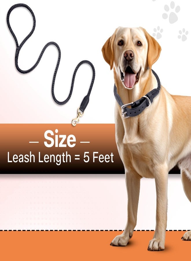 ADIL'S Adil’S Braided Rolled Drum Dyed Leather Dog Leash with 360 Degree Rotating Clasp 5 FT Long, Non-Slip Grip Handle, Suitable for Large & Medium Dogs, Black - Image 5